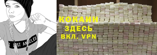 гидра Абаза