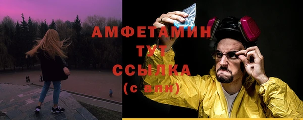 гидра Абаза