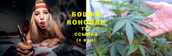 гидра Абаза