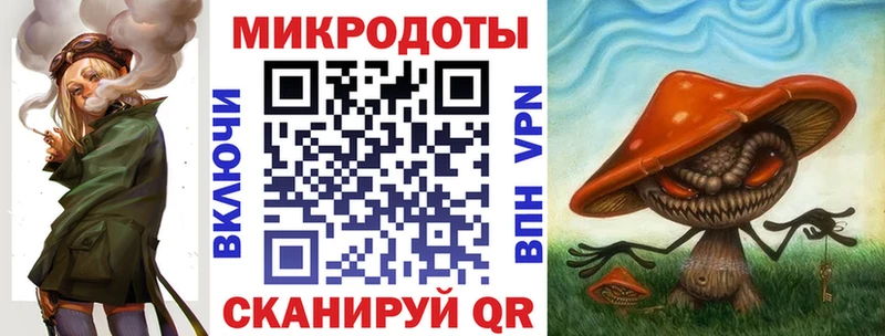Псилоцибиновые грибы Psilocybine cubensis  Пошехонье 